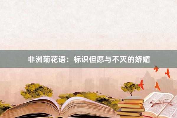 非洲菊花语:标识但愿与不灭的娇媚