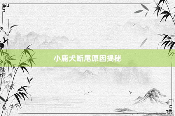 小鹿犬断尾原因揭秘